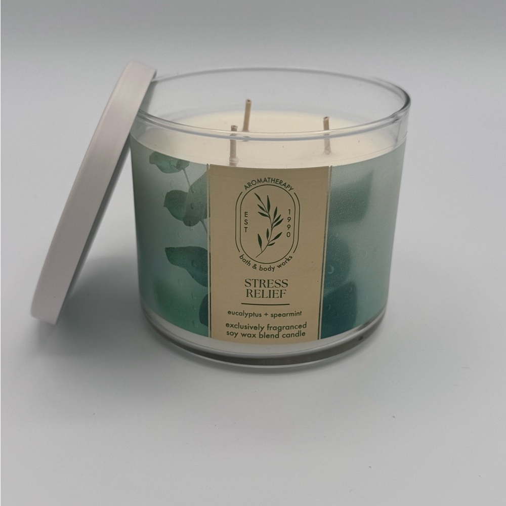 Bath & Body Works Eucalyptus Spearmint Aromatherapy Candle
